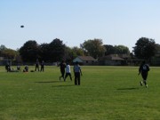 OTFL Gallery Image